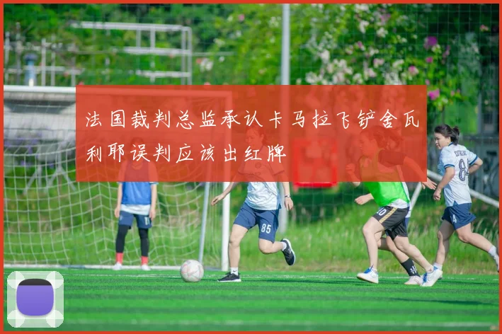 法国裁判总监承认卡马拉飞铲舍瓦利耶误判应该出红牌