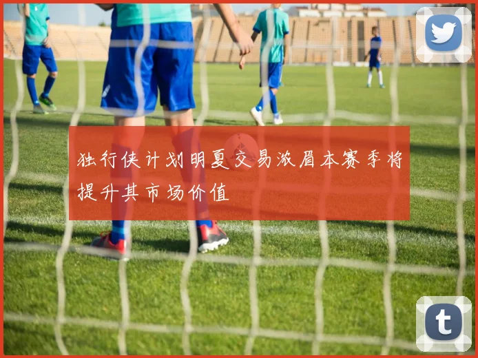 独行侠计划明夏交易浓眉本赛季将提升其市场价值