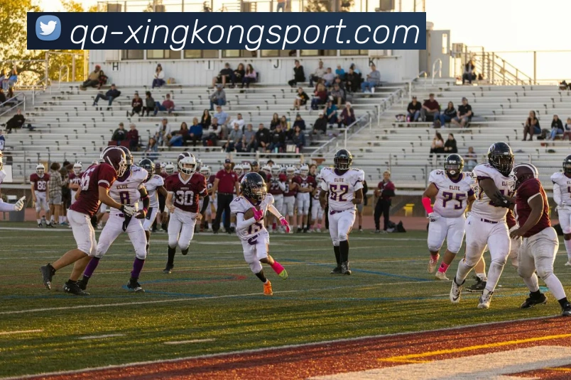 星空足球平台生态图